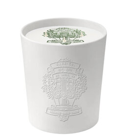Fir & Grapefruit Ceramic Candle