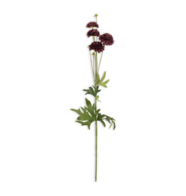 Artificial Clove Stem