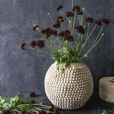 Artificial Clove Stem