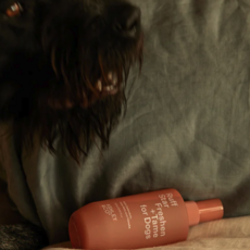 Ashley & Co Ashley & Co Dog Box Grooming Care Set