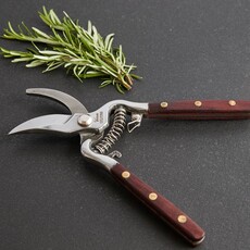 Thai Kitchen and Garden Shears