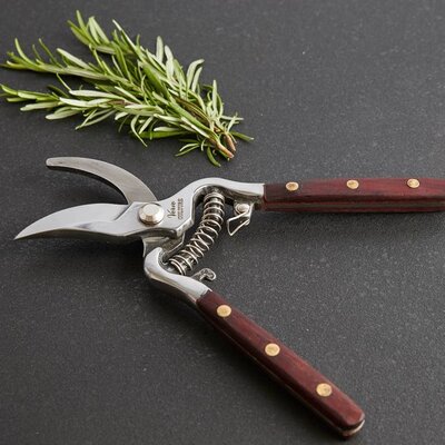 Thai Kitchen and Garden Shears