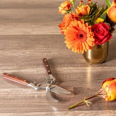 Thai Kitchen and Garden Shears