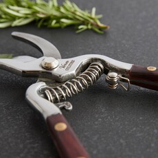 Thai Kitchen and Garden Shears
