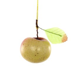 Orchard Crab Apple Ornament