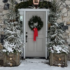 Fresh-Cut 20" Fraser Fir Wreath