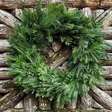 Fresh-Cut 20" Fraser Fir Wreath
