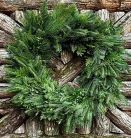 Fresh-Cut 20" Wreath