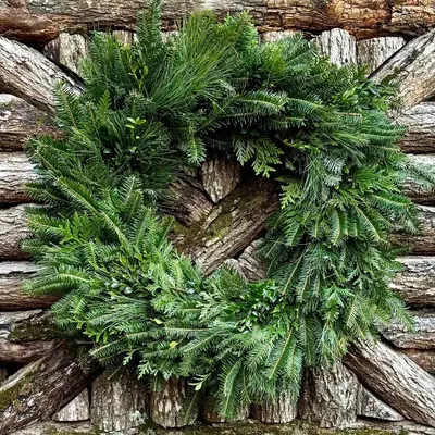 Fresh-Cut 20" Wreath