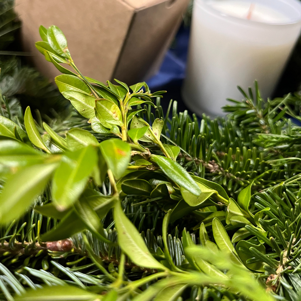 Fresh-Cut 20" Fraser Fir Wreath