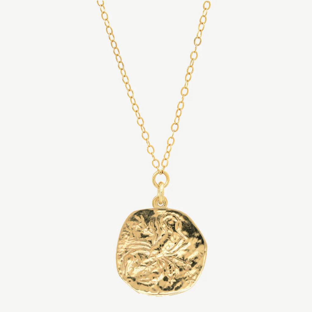 Zodiac Coin Necklace
