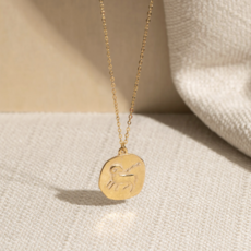 Zodiac Coin Necklace