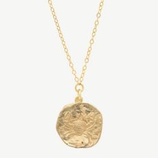 Zodiac Coin Necklace