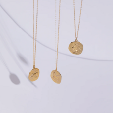 Zodiac Coin Necklace
