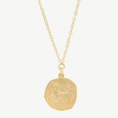 Zodiac Coin Necklace