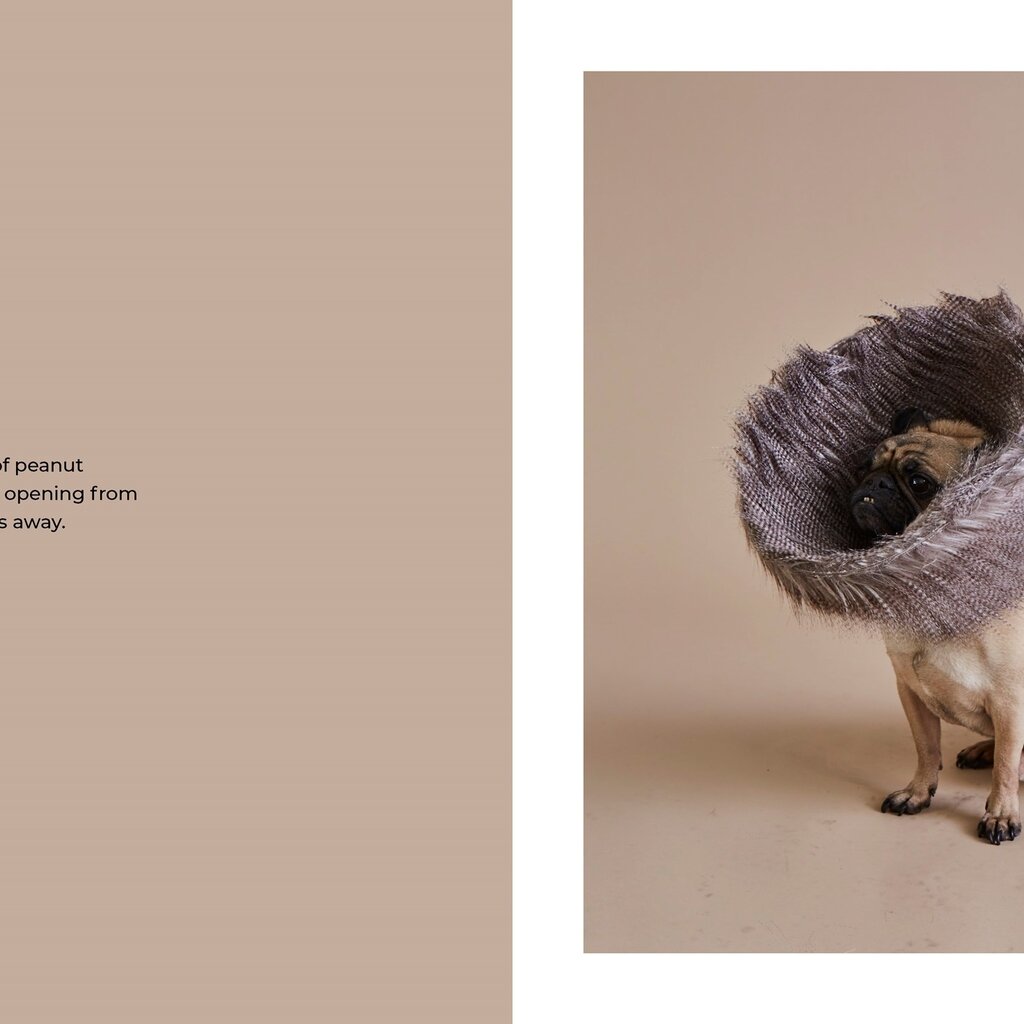 Union Square & Co. Cone of Shame