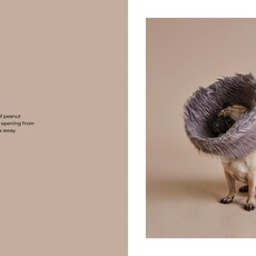 Union Square & Co. Cone of Shame