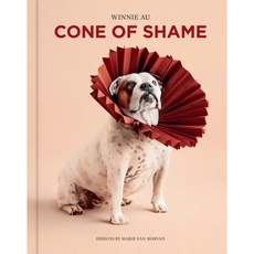 Union Square & Co. Cone of Shame