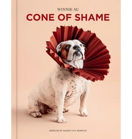 Union Square & Co. Cone of Shame