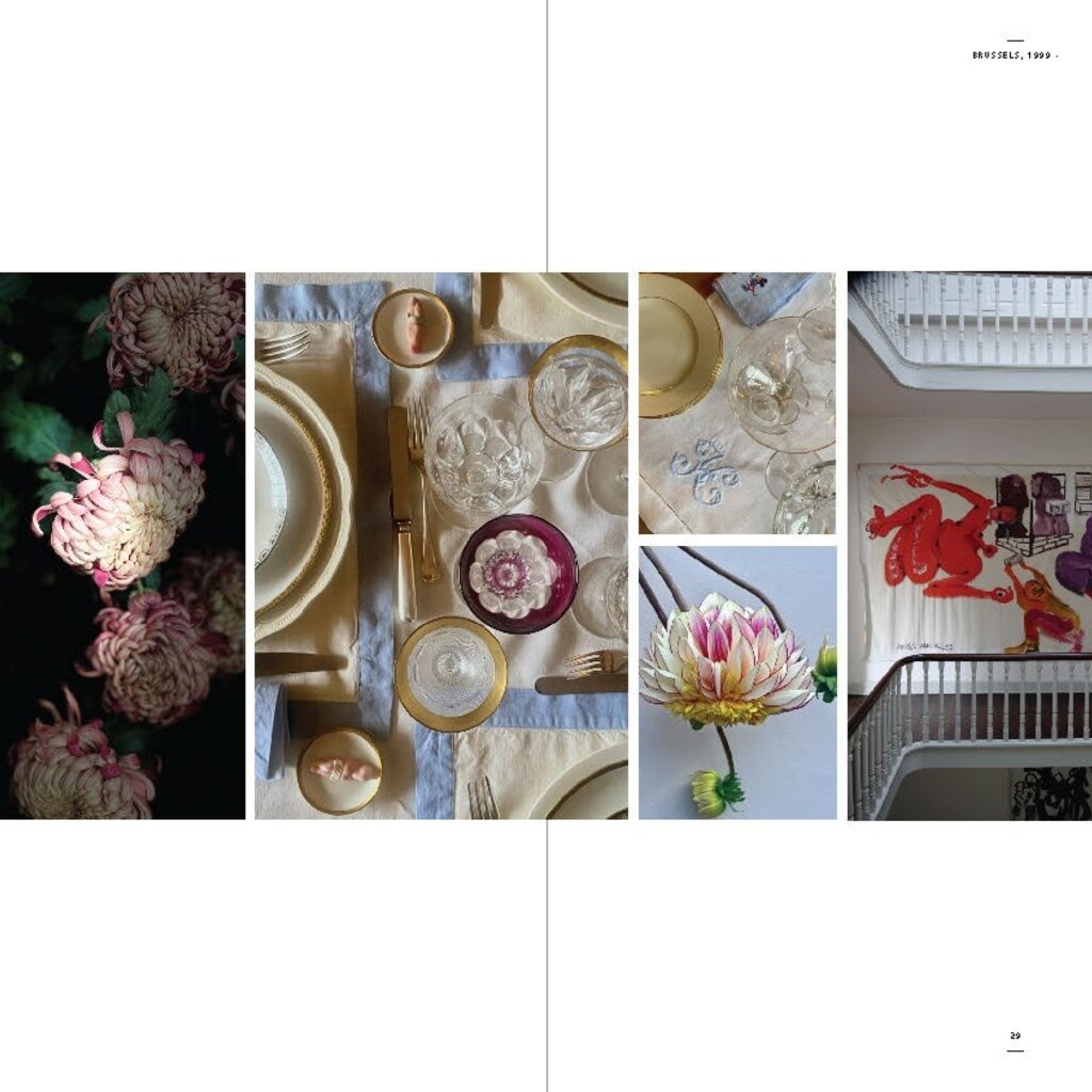 Beta-Plus Aesthetic Nomads: A Chronicle of Beauty Unveiled