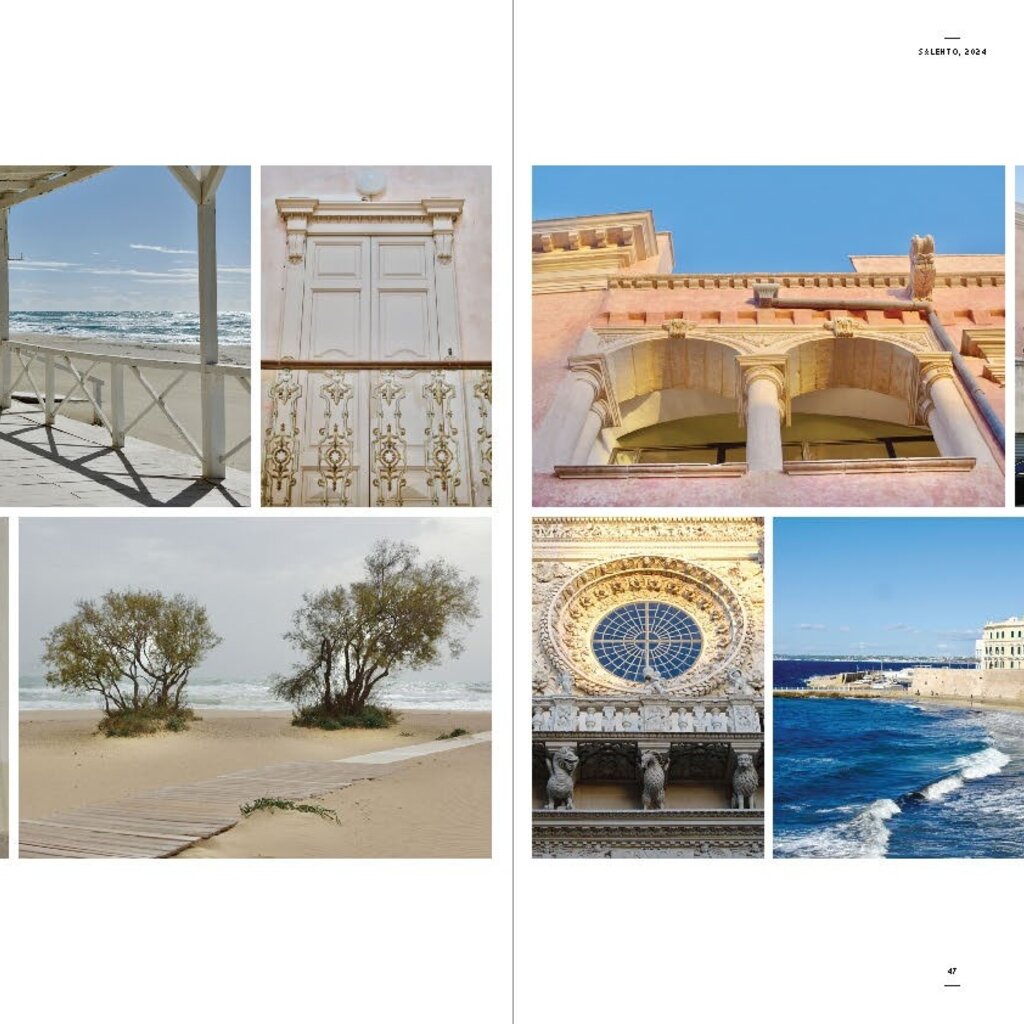 Beta-Plus Aesthetic Nomads: A Chronicle of Beauty Unveiled