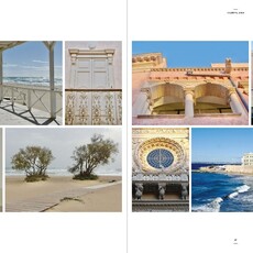 Beta-Plus Aesthetic Nomads: A Chronicle of Beauty Unveiled