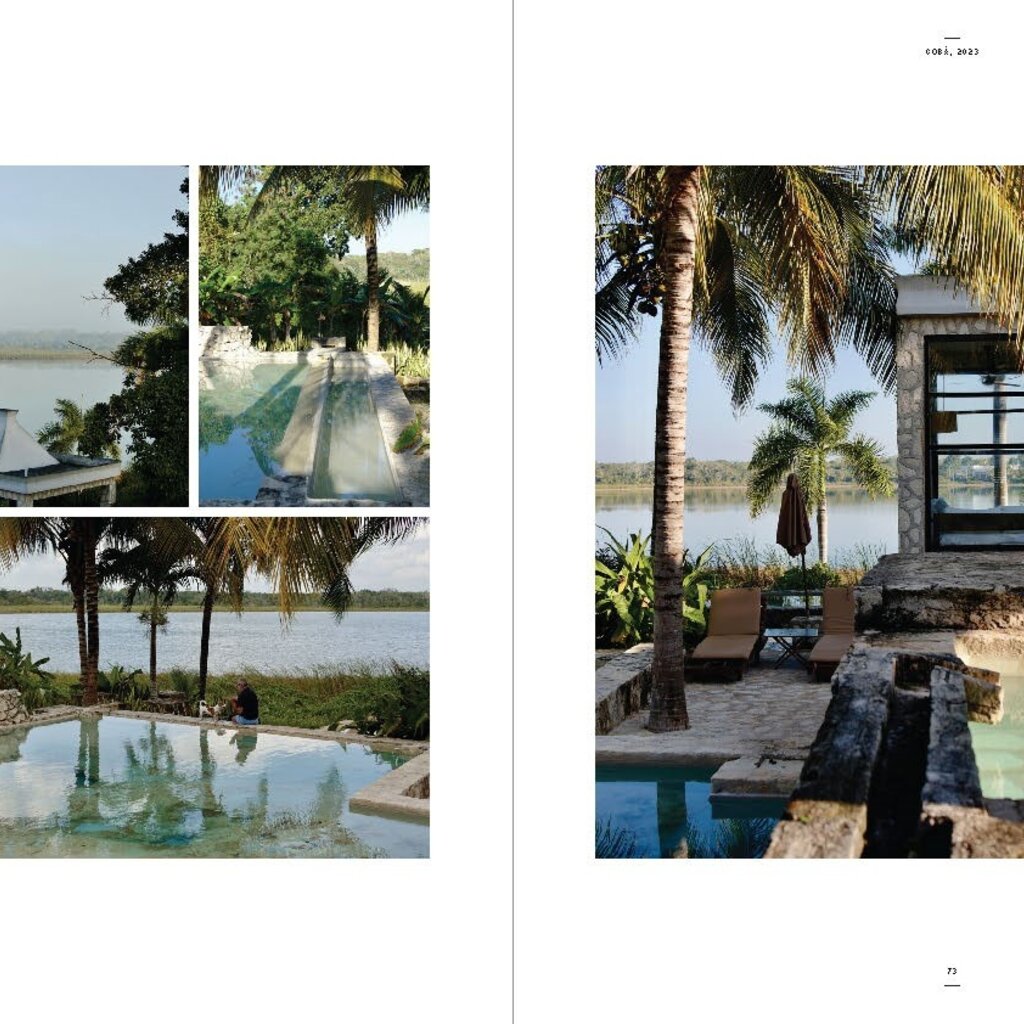 Beta-Plus Aesthetic Nomads: A Chronicle of Beauty Unveiled