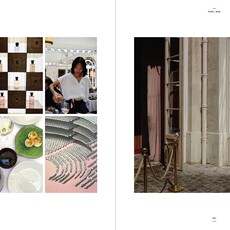 Beta-Plus Aesthetic Nomads: A Chronicle of Beauty Unveiled