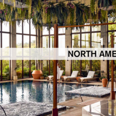 Universe Publishing The Wellness Bucket List