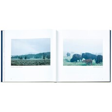 Leather Bound "Yellowstone" Book