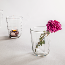 Short Etched Glass Tumbler