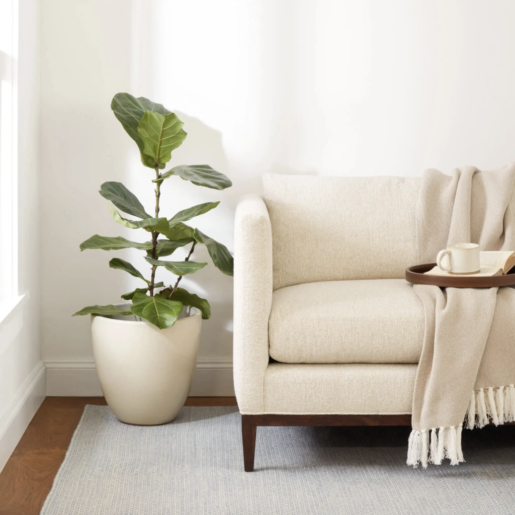 Dash & Albert Dash & Albert Honeycomb Handwoven Wool Rug