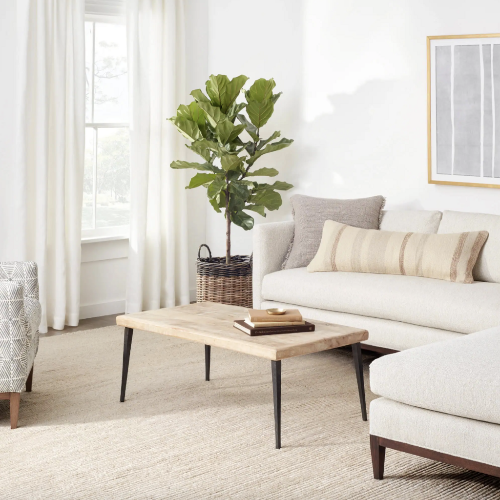 Dash & Albert Dash & Albert Niels Handwoven Rug