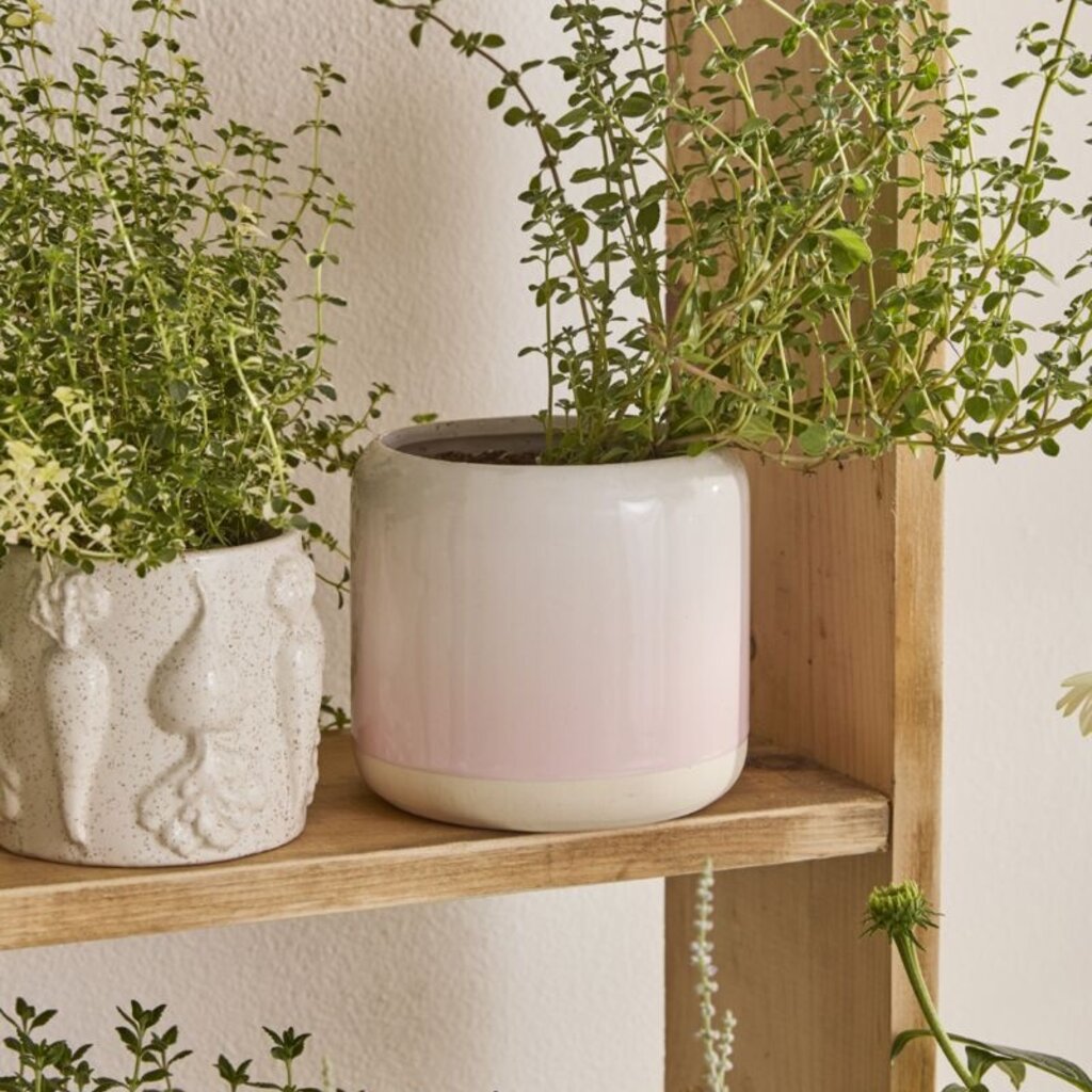 Horizon Ceramic Pot