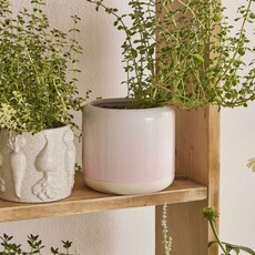 Horizon Ceramic Pot
