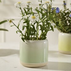 Horizon Ceramic Pot