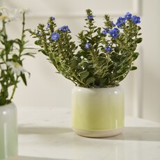 Horizon Ceramic Pot