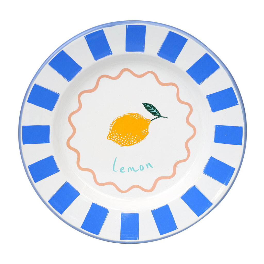 10" Summer Enamel Dinner Plate