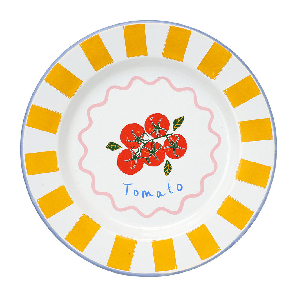 10" Summer Enamel Dinner Plate