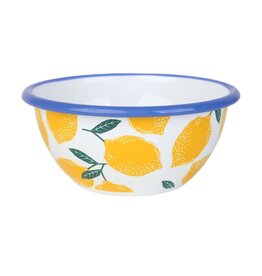 5" Enamel Bowl