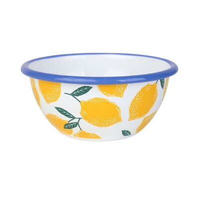 5" Enamel Bowl