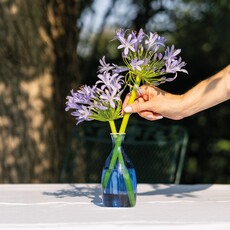 Un Fiore Vase