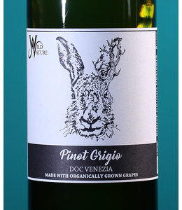 Wild Nature Wines, Venezia Pinot Grigio 2023