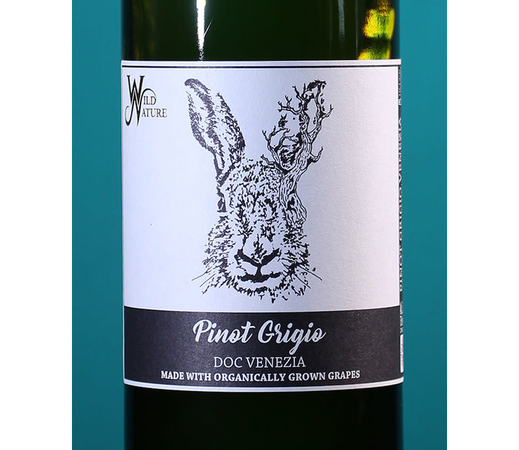 Wine Gourmet ワイングルメ　ワインセラー　WIC-144-AGG Wine Gourmet ワイングルメ ワインセラー WIC-144-AGG Wine Gourmet