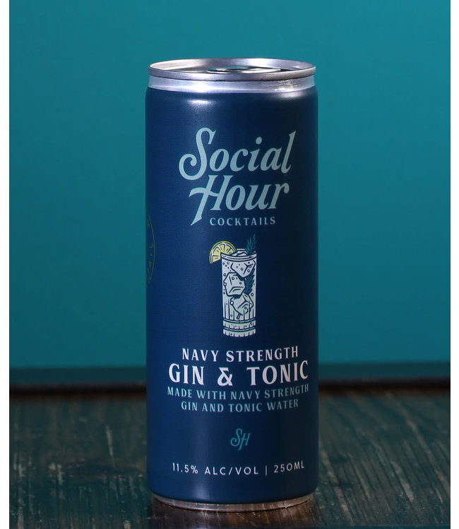 Social Hour Gin & Tonic (250 ml can)