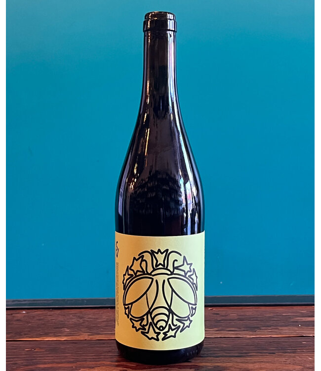 Succes Vinicola, Conca de Barberà Trepat Cuca de Llum 2023