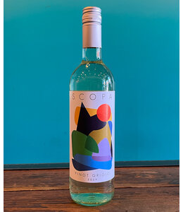 Scopa Pinot Grigio delle Venezie 2015