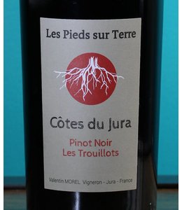 Valentin Morel, Côtes du Jura Pinot Noir Les Trouillots 2016