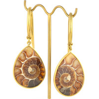 Ammonite Drop, Medium