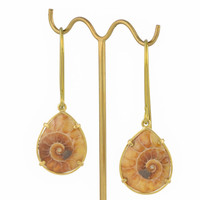 Ammonite Drop, Small